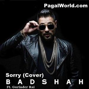 Sorry (Desi Version) Badshah n Gurinder Rai 320Kbps mp3 song Download  