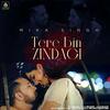 Tere Bin Zindagi - Mika Singh