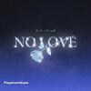 NO LOVE - Shubh