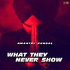 What They Never Show - Amantej Hundal