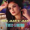 Meri Jaan E Jaan - Tiku Weds Sheru