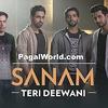 Teri Deewani - Sanam - 320Kbps