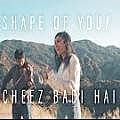 Cheez Badi x Shape Of u (Vidya Vox Mashup Cover) 320Kbps