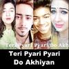 Teri Pyari Pyari Do Akhiyan - TikTok DJ Remix