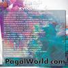 18 Tamanche Pe Disco (Remix) - DJ Kawal & DJ Shaan [ PagalWorld.com]